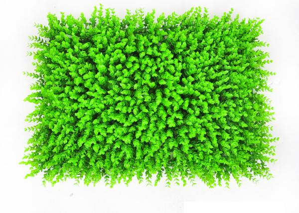 Quality Easy Drainage 60cm Vertical Green Wall Fake Grass Backdrop for sale