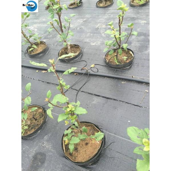 100GSM Geotextile Weed Control Ground Cover Fabric PP Woven Fabric