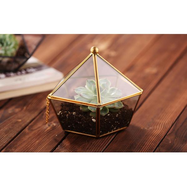 Pentagon Shaped Jewelry Glass Display Case Air Plant Terrarium Planter