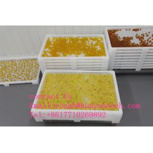 ISO9001 PPE 75 * 55 * 5cm Plastic Drying Trays
