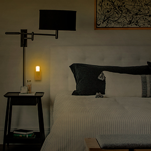 EMC certified AC110V Dimmable Led Plug In Night Light With Dusk To Dawn Sensor