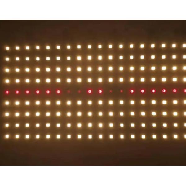 Customized 70W Triac Dimmable 220V AC Quantum Board Full Spectrum LED Light