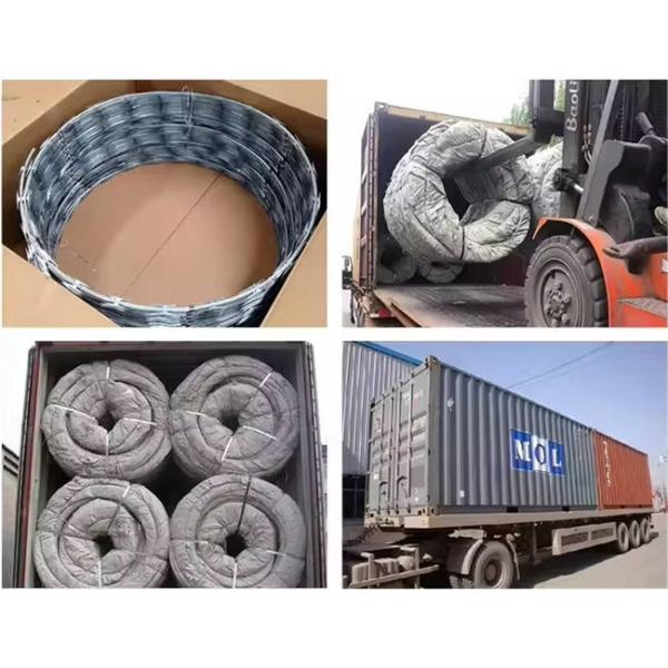 Hot Dipped Galvanized Concertina Barbed Wire Coil BTO30 Barb Wire Coil