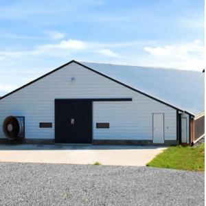 China Safety Steel Structure Chicken House Lightweight Steel Frame Building wholesale