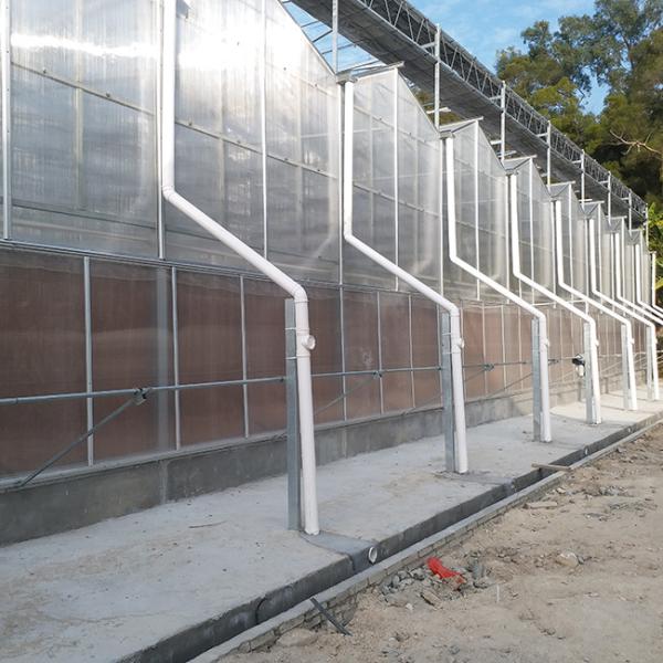Good Thermal Insulation Venlo Polycarbonate Sheet PC Panel Greenhouse