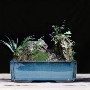 China Blue 30.3cmx21.6cmx10.5cm Ceramic Glazed Bonsai Pots wholesale