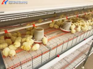 China Fully Automatic Galvanized Poultry Farm Layer Cage with Feeding System wholesale