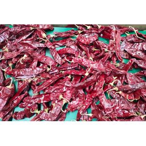 China XingLong Dried Paprika Peppers 16CM Dehydrated Red Chili Pods wholesale