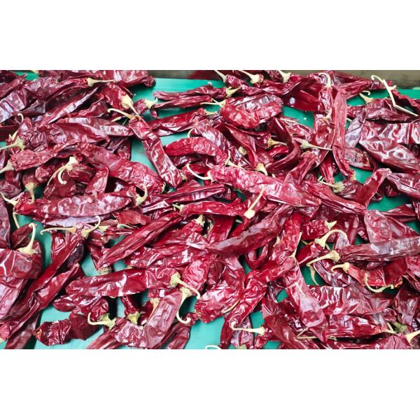 XingLong Dried Paprika Peppers 16CM Dehydrated Red Chili Pods