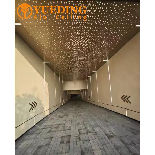 Auditorium Aluminum Ceiling Panels Fireproof Moisture Proof 0.6-2.0mm