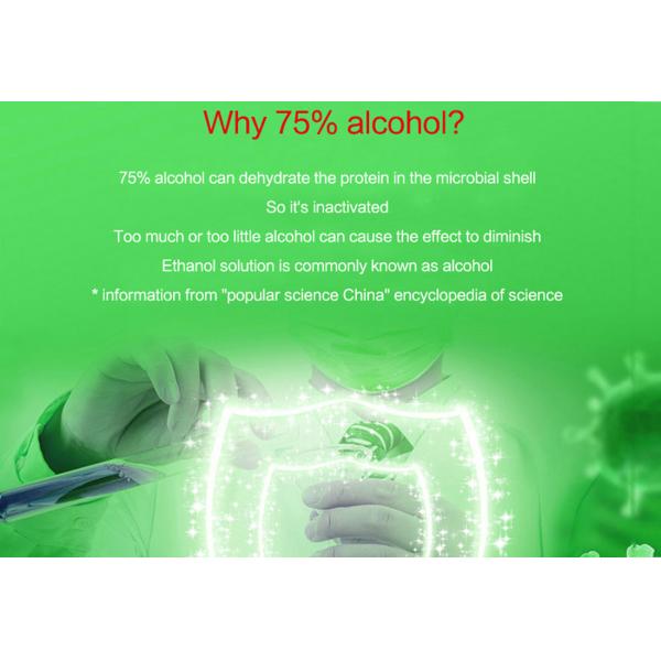 Alcohol Based Hand Sanitizer 75% Alcohol Gel 500ml Disinfectant