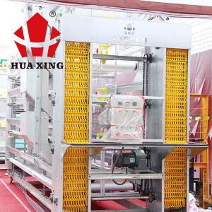 China Eggs Collecting Layer Poultry Farming Equipment , Steady Poultry Automation Equipment wholesale