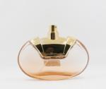 100ML unique shaped refill empty car air freshener bottle
