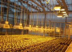 Lighting System for Container Greenhouses Package Gross Weight 2000.000kg Currency US