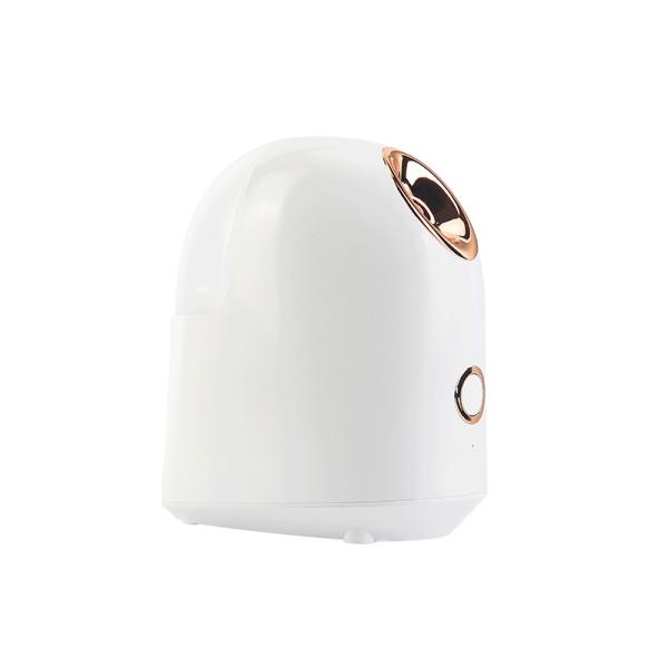 Quality Mini Salon White 280W 50Hz Nano Ionic Facial Steamer for sale