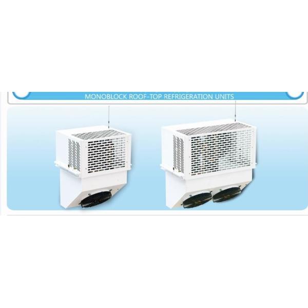 Cold Storage Air Cooled Monoblock Refrigeration Units 1HP OLTM100T hermetic condensing unit