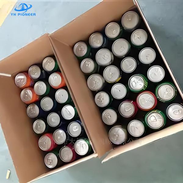 Beer Cans Case Packer Machine for Diverse Carton Packers Needs