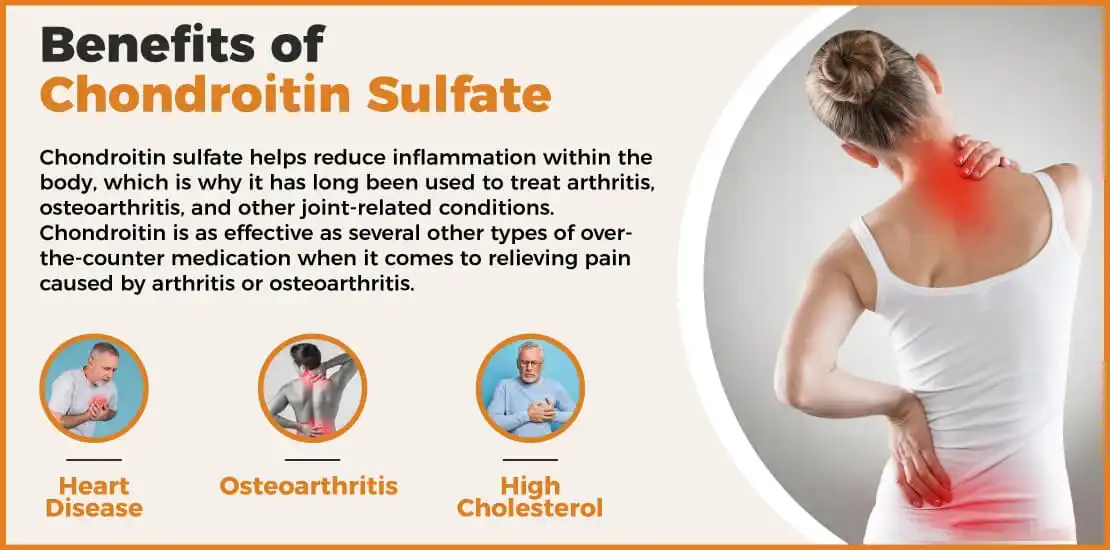 Chondroitin Sulfate Powder Benefits