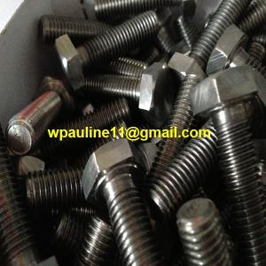 China SS316 stainless steel bolt wholesale