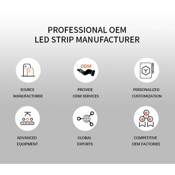 DC12V 24V RGB Waterproof Neon Lights Side View Mini Silicone LED Neon Light 04*06mm