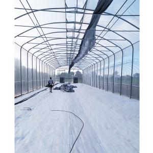 China Umbrella Structure Agricultural Greenhouse 8m Height Wide Span Greenhouse wholesale