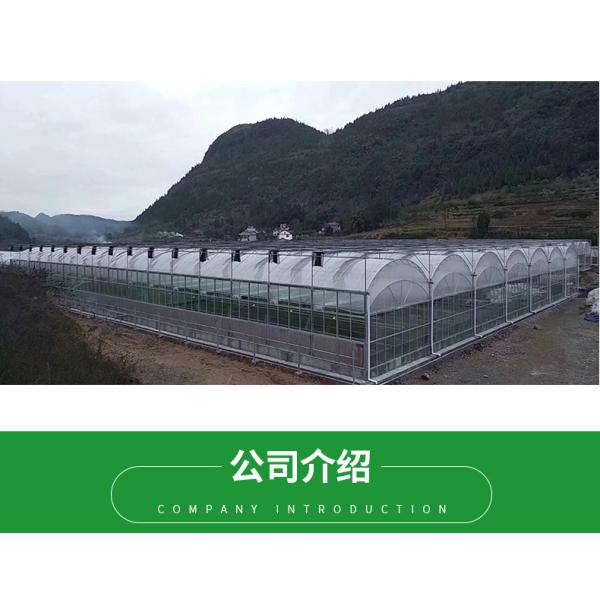 30 x 100 Vegetable Growing Film Covered Multi-span Arch Greenhouse with PO Cover