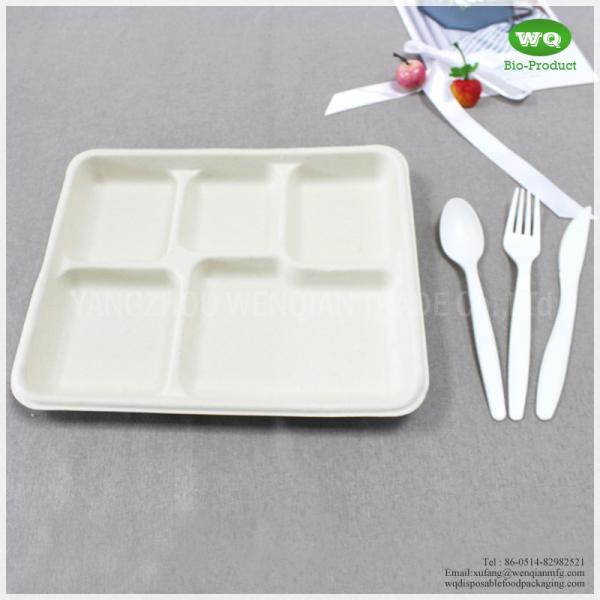 China 100% Biodegradable Sugarcane Pulp 5 Compartments Tray-High quality Biodegradable food tray For birthday parties wholesale