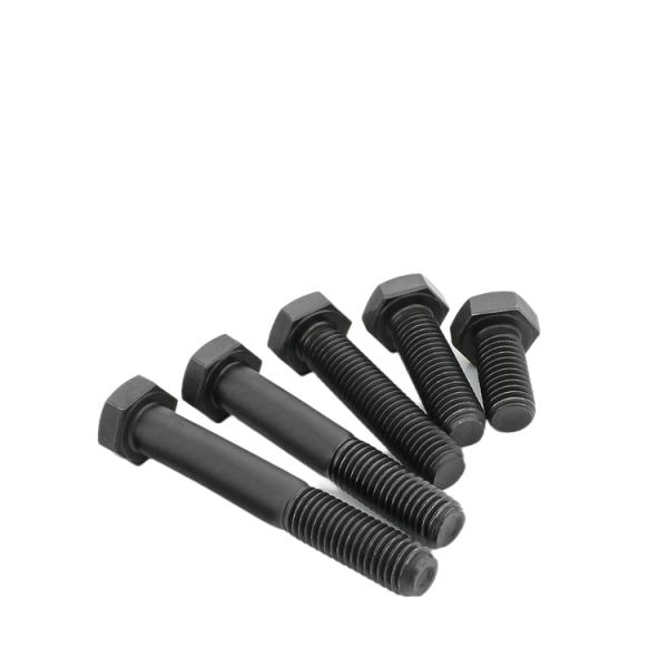 OEM/ODM Hex Head Bolts with Galvanized/HDG/Black/Blue Zinc Plated Finish and M8 M10 M12 Threads