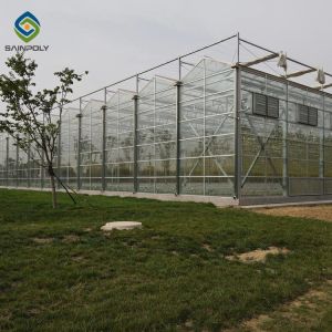 China Agricultural 120km/H 10.8m Multi Span Glass Greenhouse wholesale