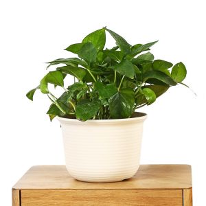 China 31cm Cross Grooved Round Outdoor Resin Bonsai Flower Pots wholesale