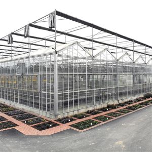 Customizable High Durability Multispan Greenhouse Rain Resistant