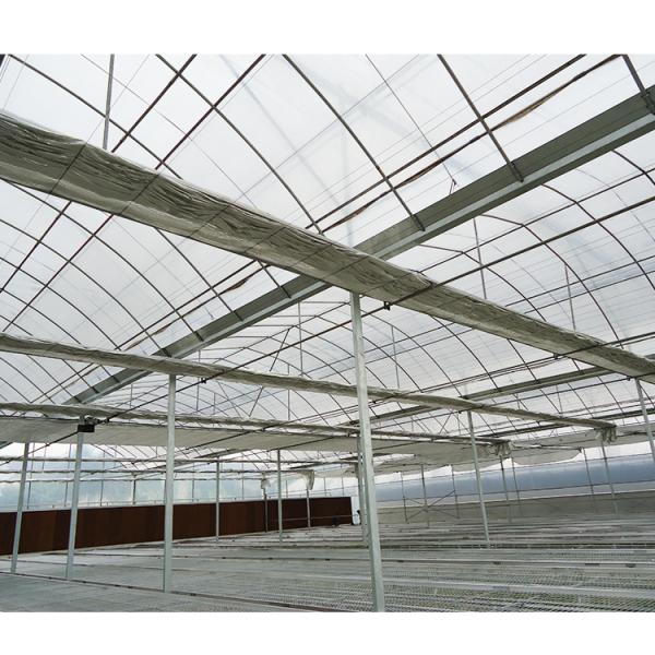 Large Multi Span Greenhouse 200micron Plastic Film Greenhouse For Vegetables And Flowers