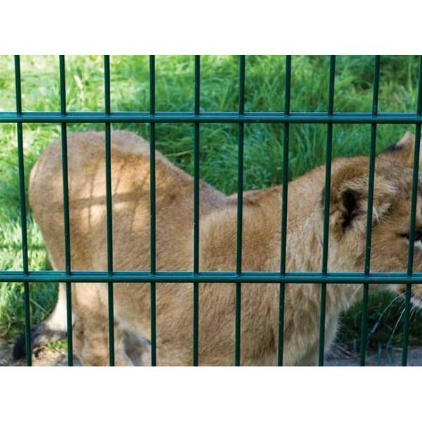 2500mm Panel Double Wire Mesh Fence 50 × 200mm Green Galvanized Coated