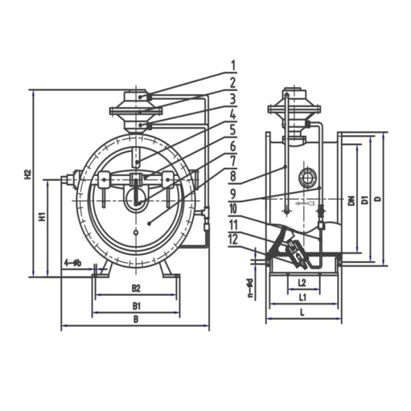 Anticorrosive Ductile Iron Check Valve