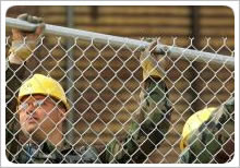40mm 2.4mm Galvanized PVC Coated Chain Link Fence For Lawn