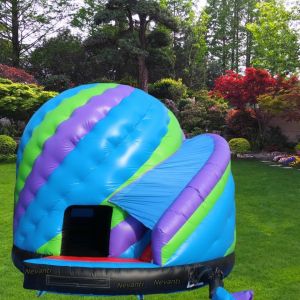 Buy cheap Commercial Inflatable Bouncy Castle with Customized Size and Bluey Bounce House from wholesalers
