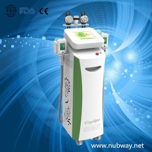 Super fast Vertical amazing result fat reduce cryolipolysis machine to losing weight