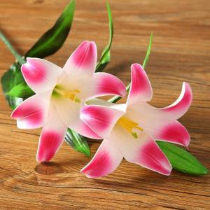 China Personalised Preserved Fresh Flowers Silk Stargazer Lily Home Furnishings on sale