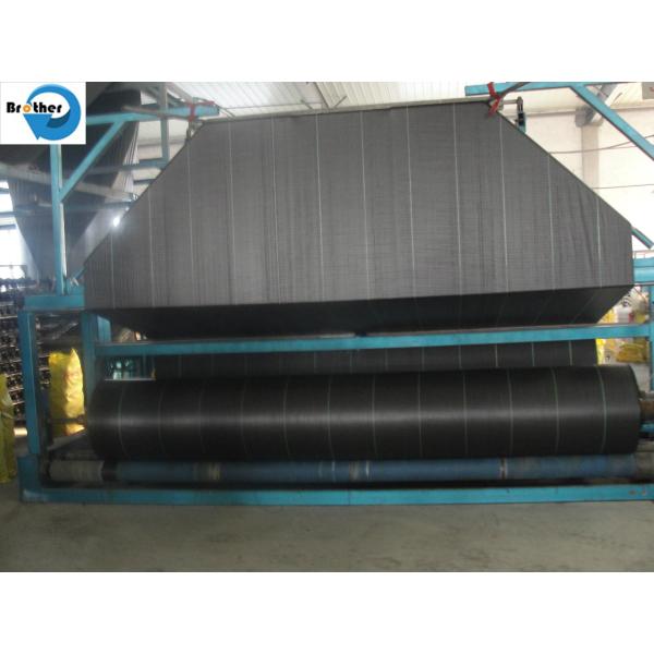 PP/PE Ground Cover Weed Control Barrier Mat, Woven Weed Cloth Weed Fabric New Material or Reycled Material, Geotextile