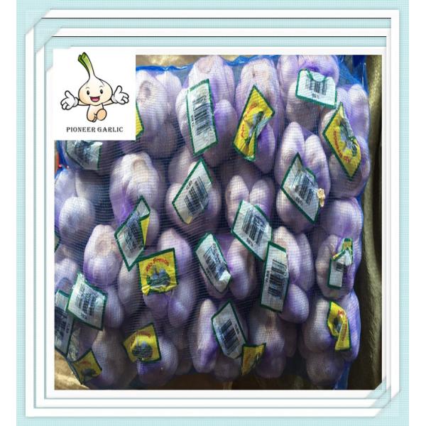China fresh white garlic/Chine 2016 garlic for good health