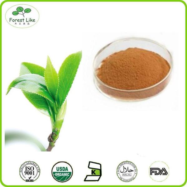 Quality Health Product Green Tea Extract 98%Tea Polyphenol for sale