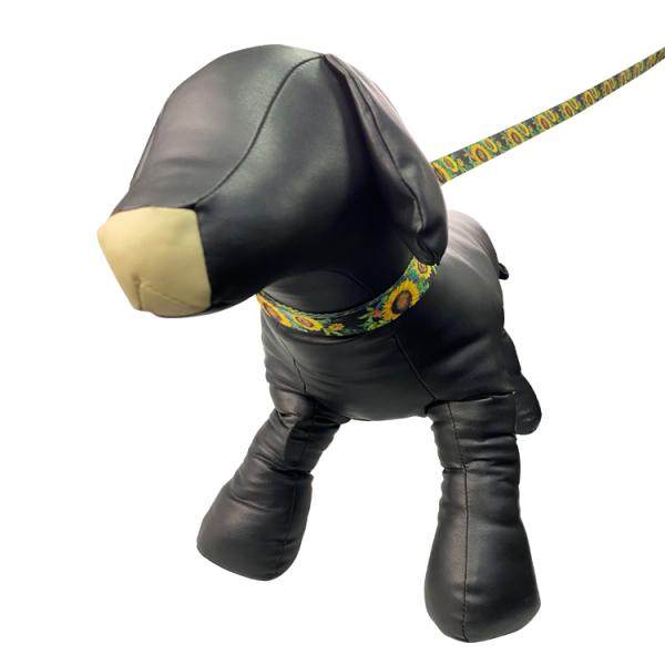 Custom Design Harness Leash Set Easy To Maintain Puppy Lead Set