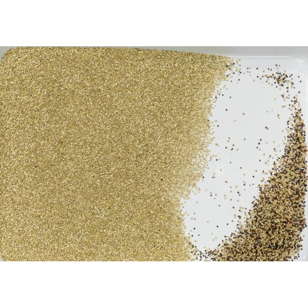 Optical Coffee Beans Color Sorter Machine For Rejecting Fresh And Roasted Coffee Beans For Farm