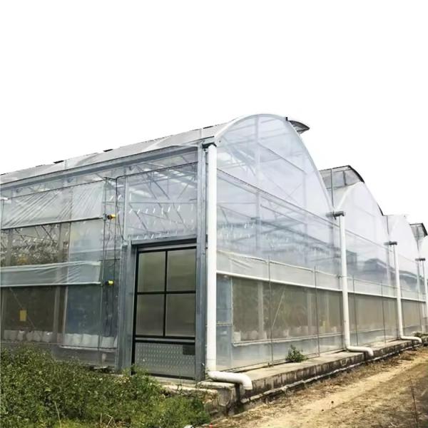 Agricultural Plastic Film Customized Multi-span Greenhouse With Shade Net