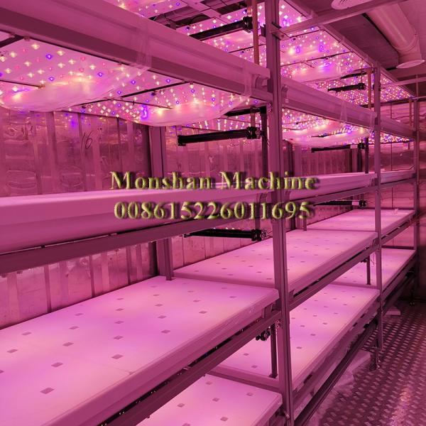 Customized 45cm Layer Height Hydroponic Lettuce Rack For Growing Crops
