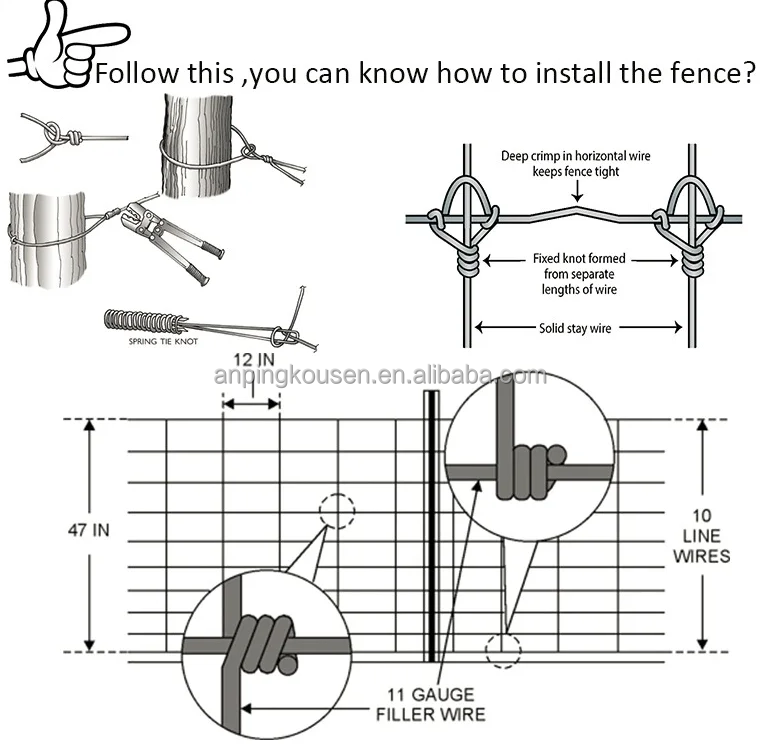 Pressure Treated Timbers Chicken Fencing for Chicken Coops in Commercial Chicken Farms