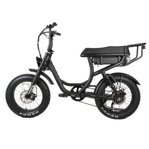 China 48V Retro Ou-xi Type Fat Bike V8 Two Seats Electric Bike Full Suspension E-Bike 20 Inch wholesale