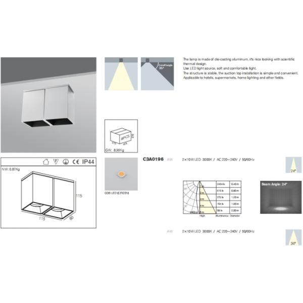 2*10Watt Aluminum Outdoor LED Flush Mount Ceiling light For Bathroom