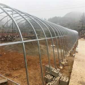 Chicken Cages Heaters Poultry Farm Plastic Film Greenhouse Agricultural