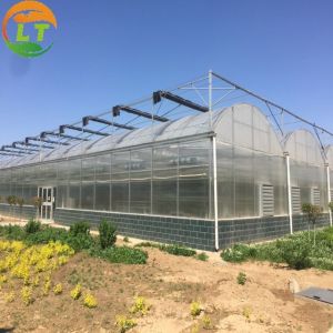 China Multi Span Agriculture Greenhouse Height 3m Customized Length 50m wholesale